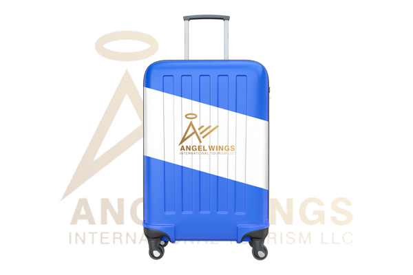 Angel Wing Luggage Suitable outdoor travel Maleta
